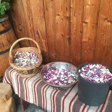 Pensiunea Agroturistica Casa Colinita Vakantieboerderij