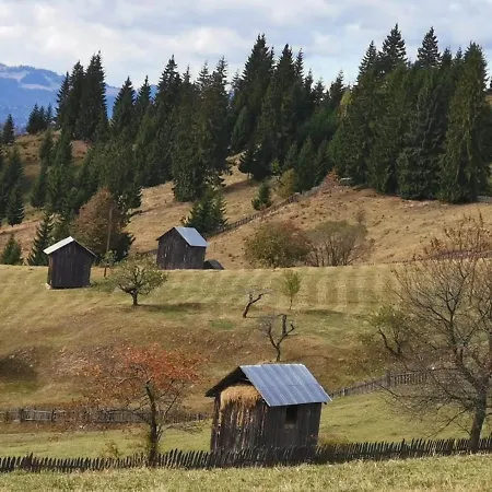 Vakantieboerderij Pensiunea Agroturistica Casa Colinita Vatra Moldoviţei