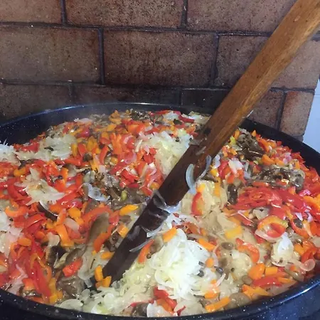Vakantieboerderij Pensiunea Agroturistica Casa Colinita