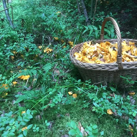 Pensiunea Agroturistica Casa Colinita *