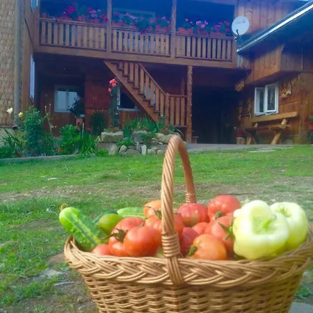 Pensiunea Agroturistica Casa Colinita *