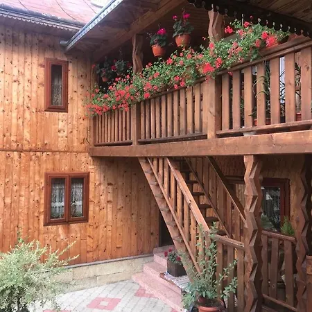 Pensiunea Agroturistica Casa Colinita * Vatra Moldoviţei