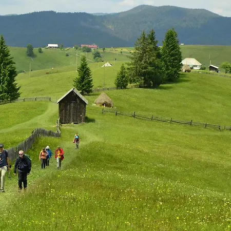 Vakantieboerderij Pensiunea Agroturistica Casa Colinita *