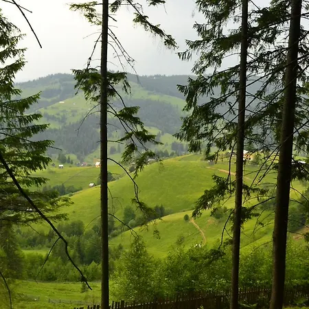 Pensiunea Agroturistica Casa Colinita Vakantieboerderij Vatra Moldoviţei